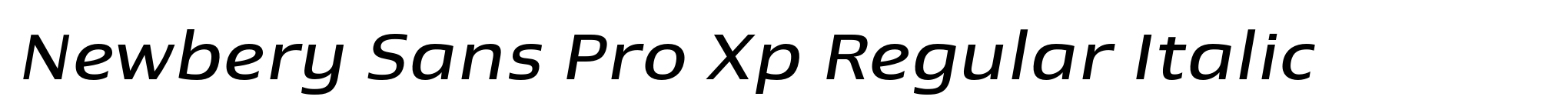Newbery Sans Pro Xp Regular Italic image